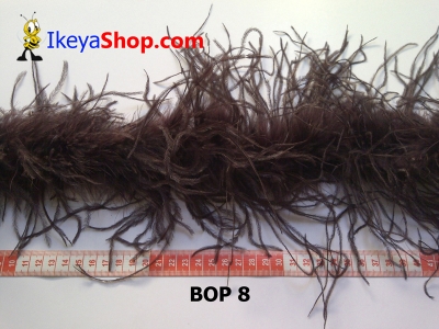 bulu ostrich BOP 8   feather  large2